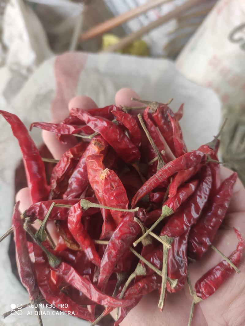 干小米椒，高辣，香辣艳红。