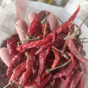 干小米椒，高辣，香辣艳红。