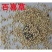 百喜草种子巴哈雀麦山雀稗进口草种牧草多年生禾草耐寒耐旱耐
