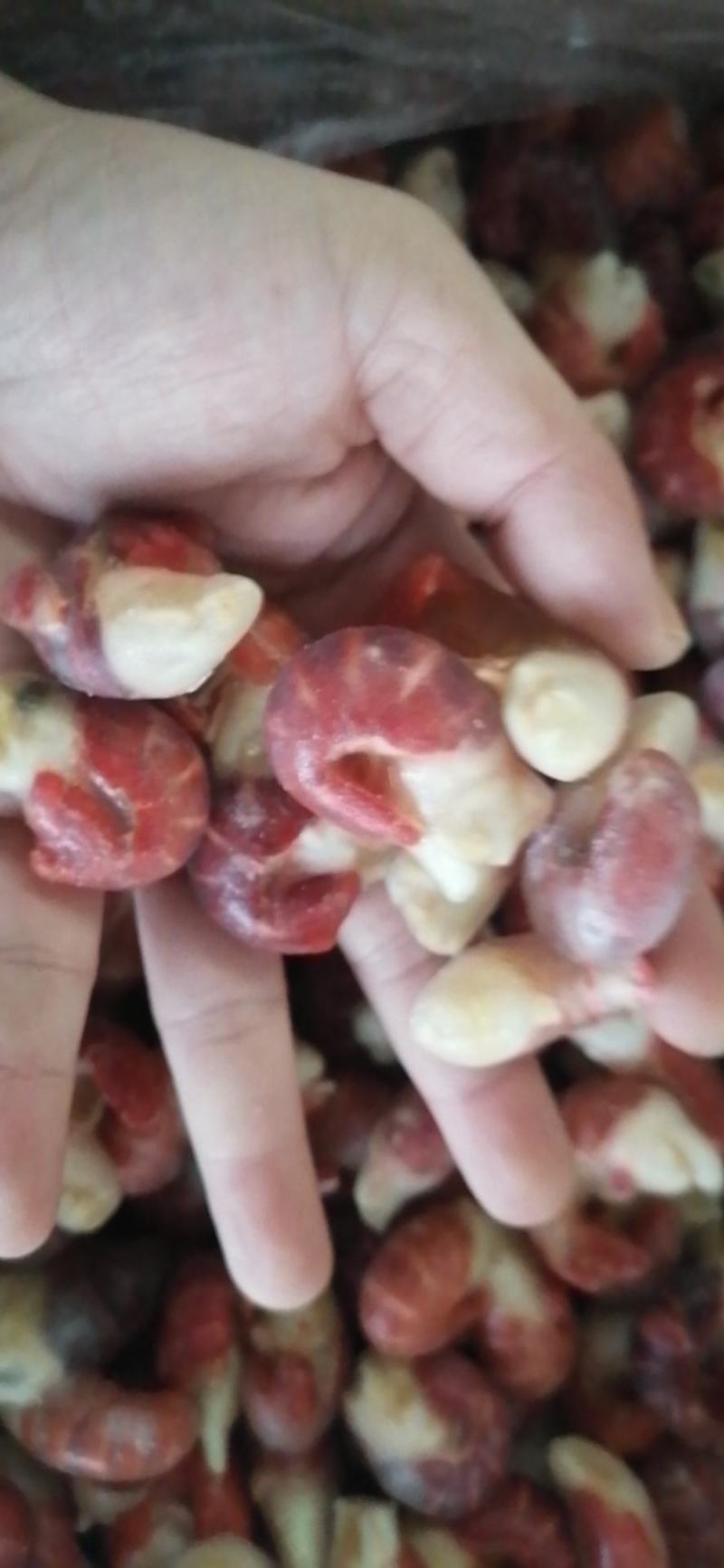 虾尾，清水虾，各规格的都有批发