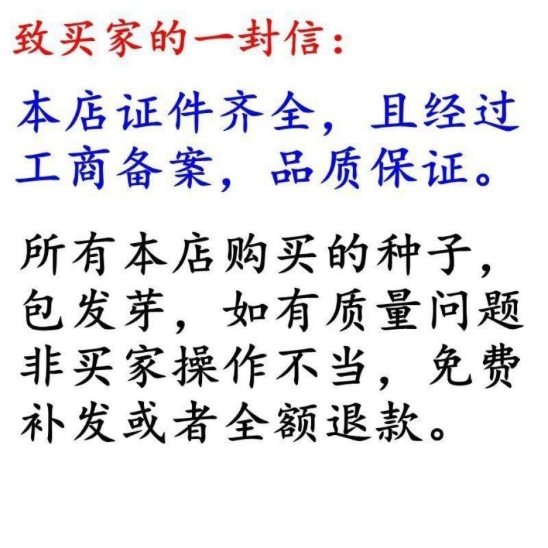 停车坪草籽草坪砖专用草皮种子不修剪低矮耐践踏草坪种子