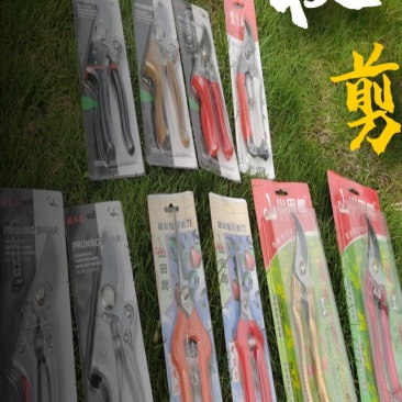 剪枝果树修枝剪刀园艺园林修花枝剪家用花剪剪枝厂家直销