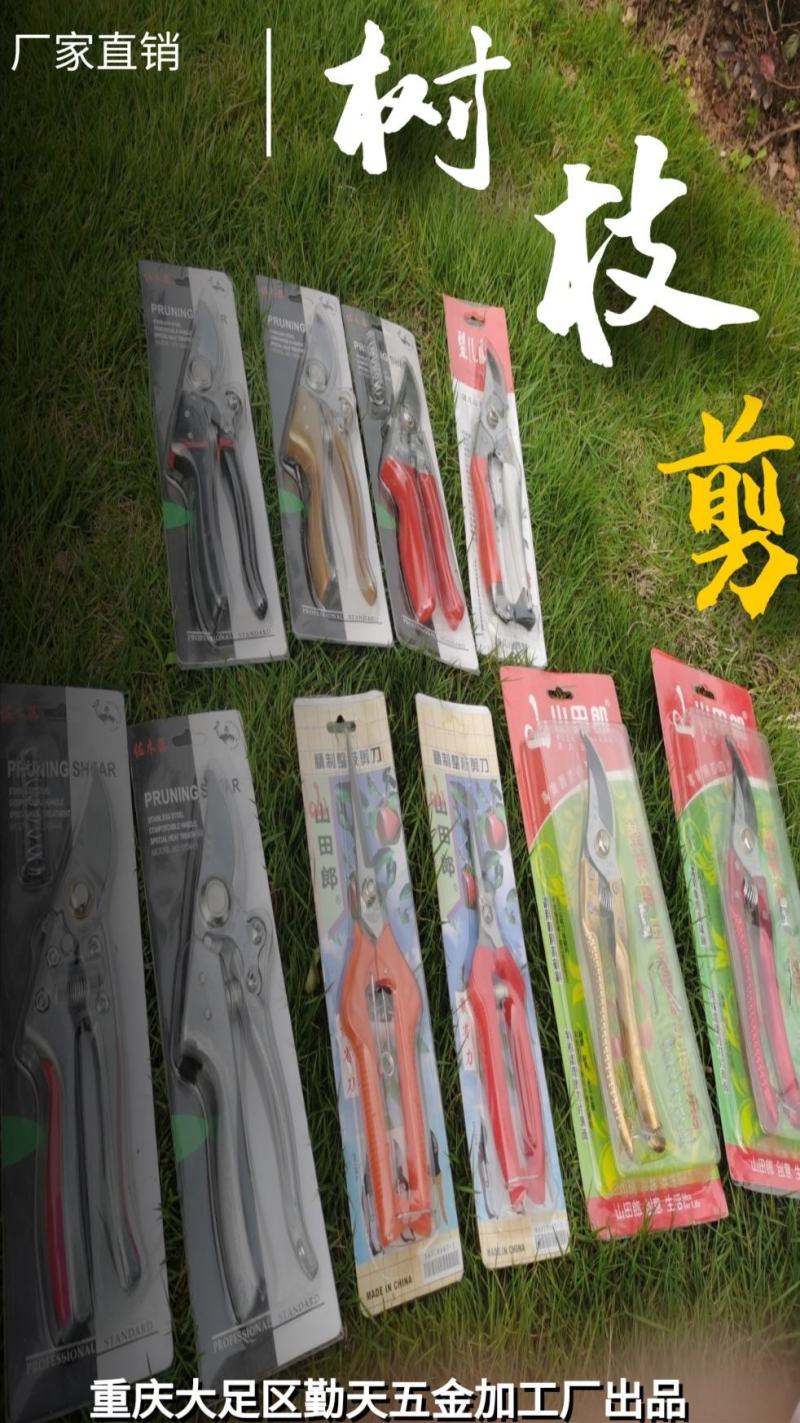 剪枝果树修枝剪刀园艺园林修花枝剪家用花剪剪枝厂家直销