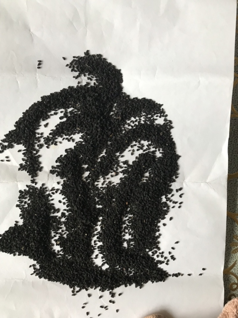 阿拉伯黑子老百姓种植的农作物需要的朋友们可以联系我了