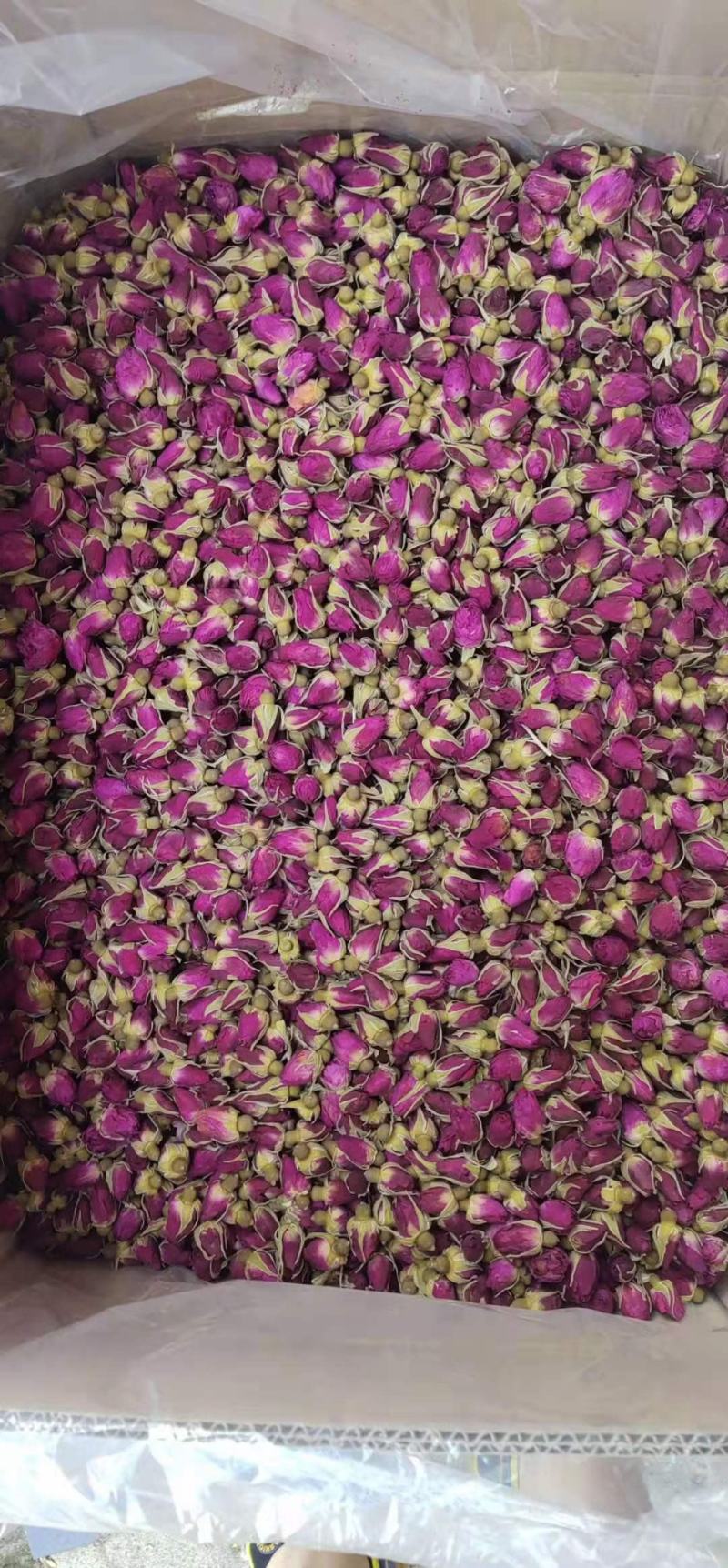 玫瑰花茶，金边玫瑰，平阴玫瑰，苦水玫瑰，玫瑰花冠