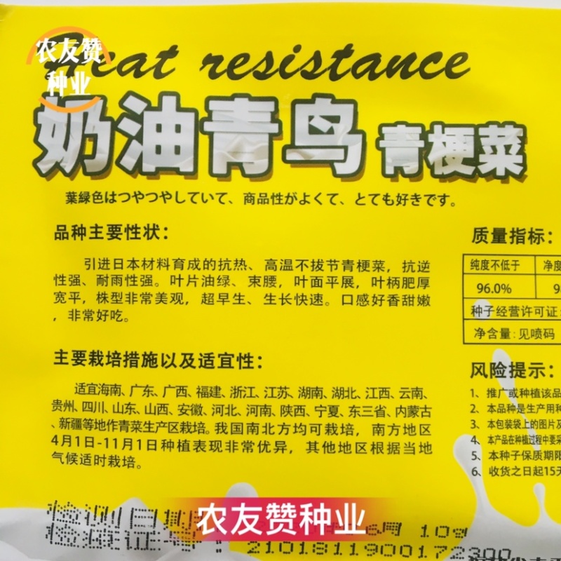 奶油青鸟青梗菜种子抗热高温不拔节小青菜种子超早熟