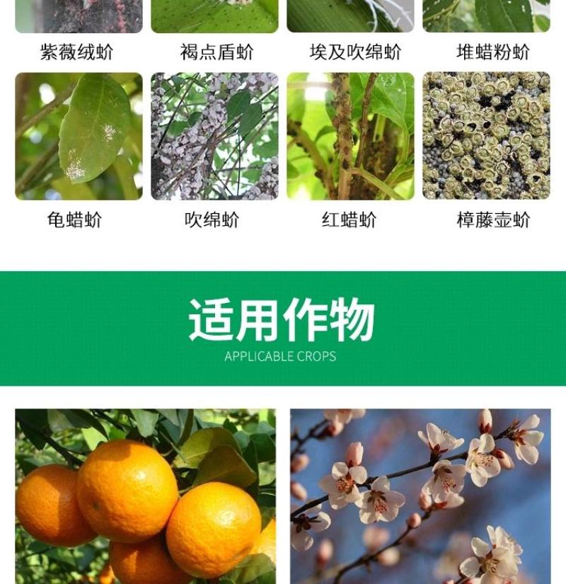 荣邦介首吡虫啉噻嗪酮蚜虫粉虱介壳虫专用农药杀虫剂