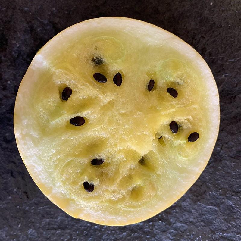 兰月礼品西瓜种子高圆黄皮黄肉，汁多爽口，采摘园基地种植