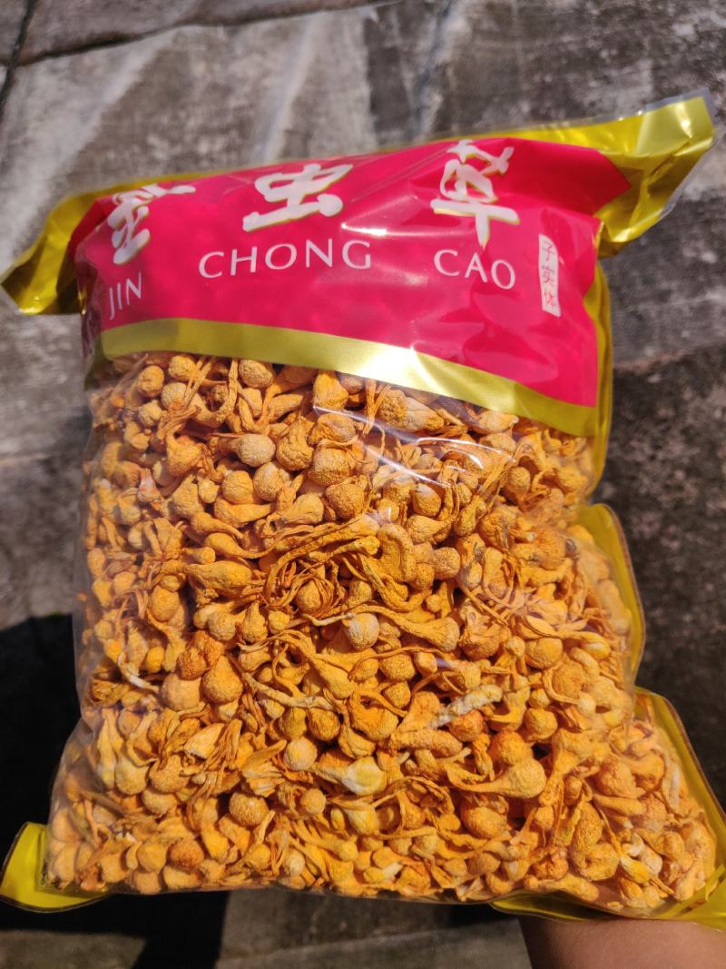 虫草花大孢子头孢子粉足北虫草寻地道食材品自然味道