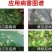 恶霜锰锌杀菌剂葡萄黄瓜蔬菜霜霉疫病农药杀菌剂1000克