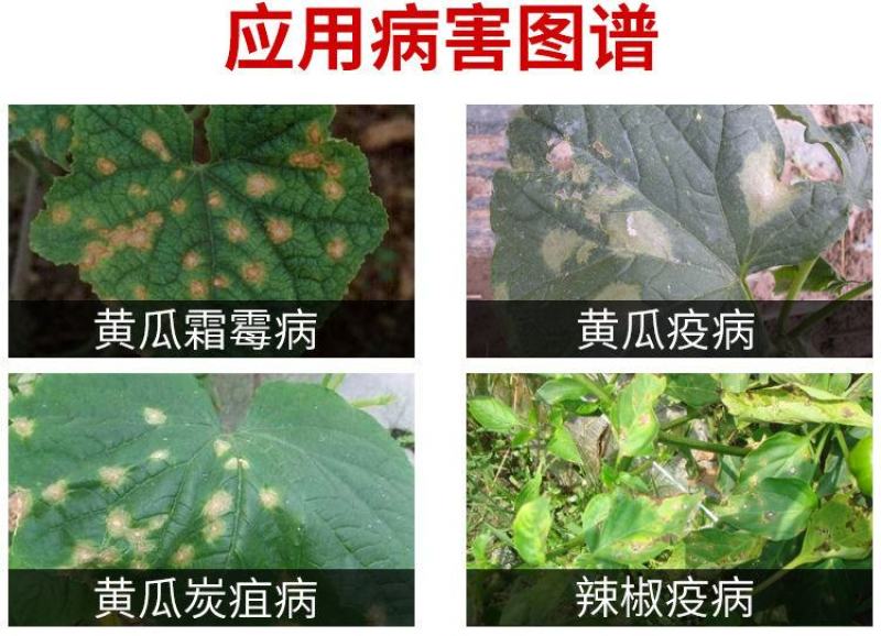 恶霜锰锌杀菌剂葡萄黄瓜蔬菜霜霉疫病农药杀菌剂1000克