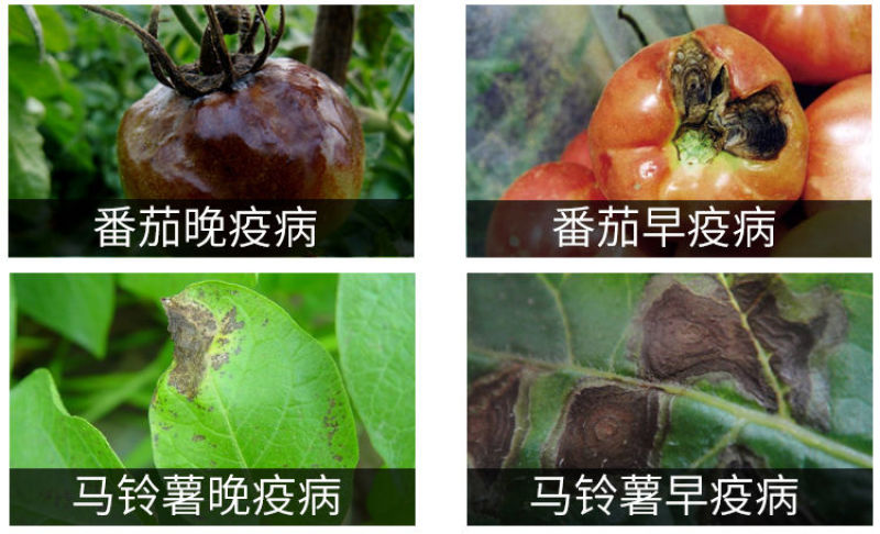 恶霜锰锌杀菌剂葡萄黄瓜蔬菜霜霉疫病农药杀菌剂1000克