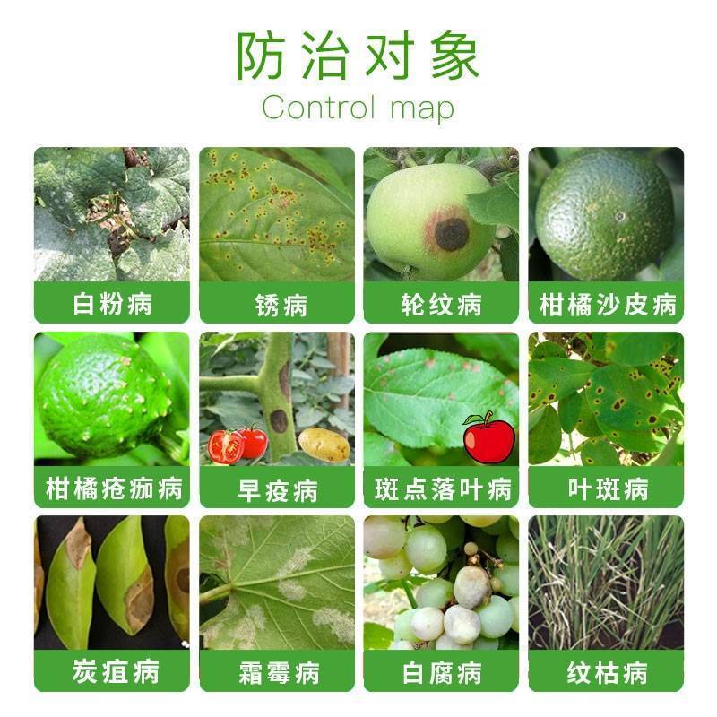 卡霜特氰霜唑.代森联百泰炭疽霜霉病耘标杀菌剂