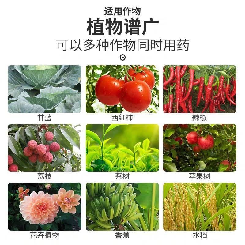 卡霜特氰霜唑.代森联百泰炭疽霜霉病耘标杀菌剂