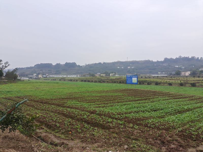土地出租、设施设备齐