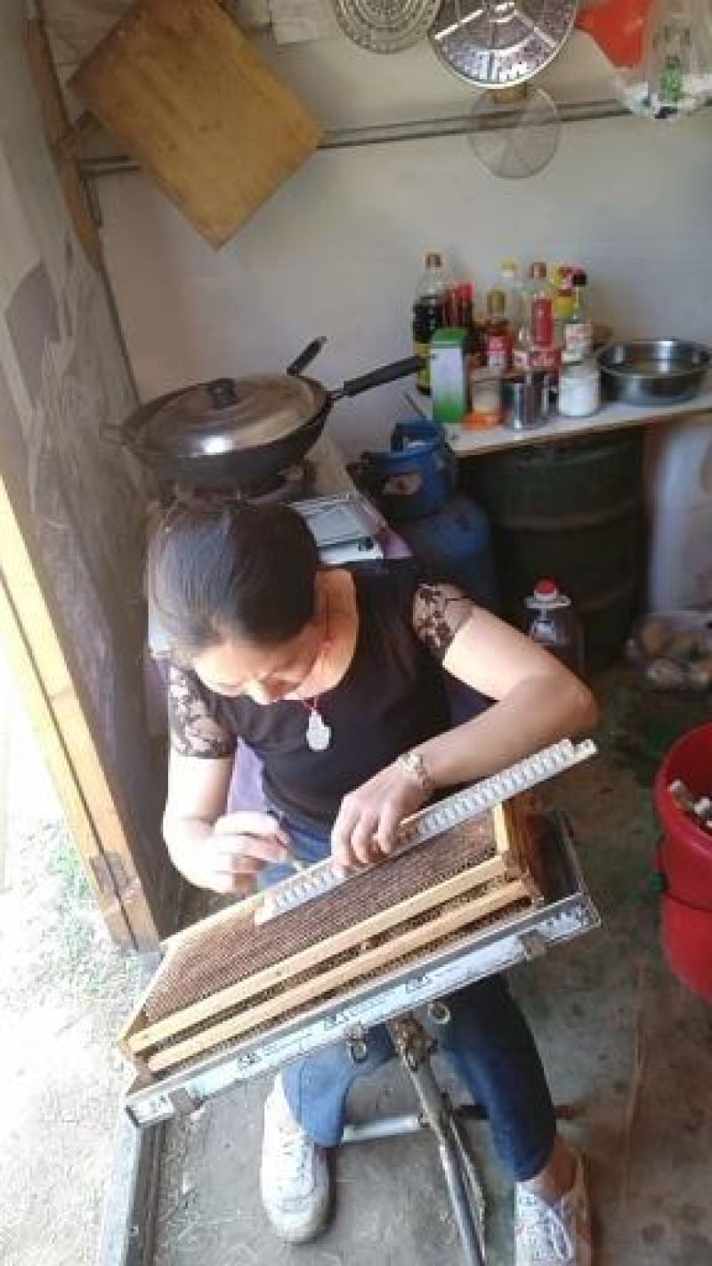 蜂王浆蜂农自产自销包邮一件代发，品质保证，假一赔十
