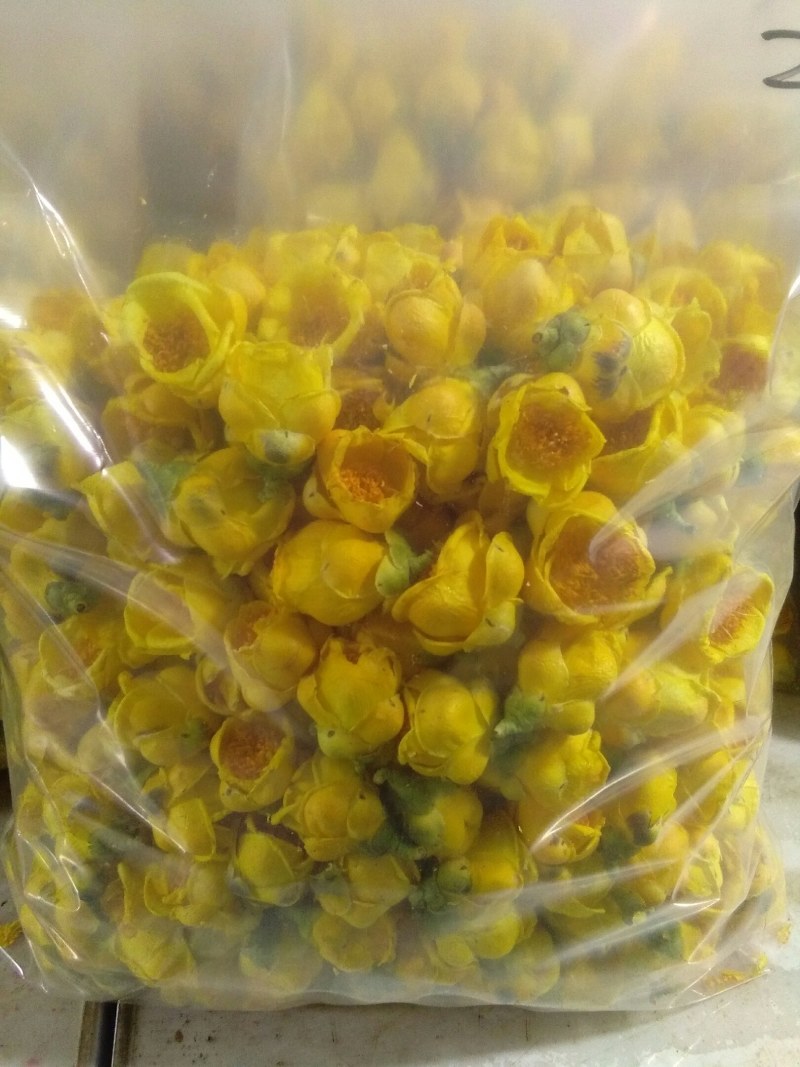 金花茶，自产广西防城港金花茶半野生