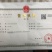 重庆火锅食材水发毛肚毛肚中间大叶片口感纯正