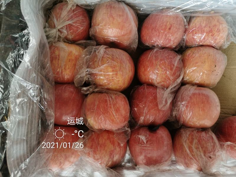 纸加膜红富士牛商荣誉六年老店条红片红临猗万荣坡冰糖心苹果电商