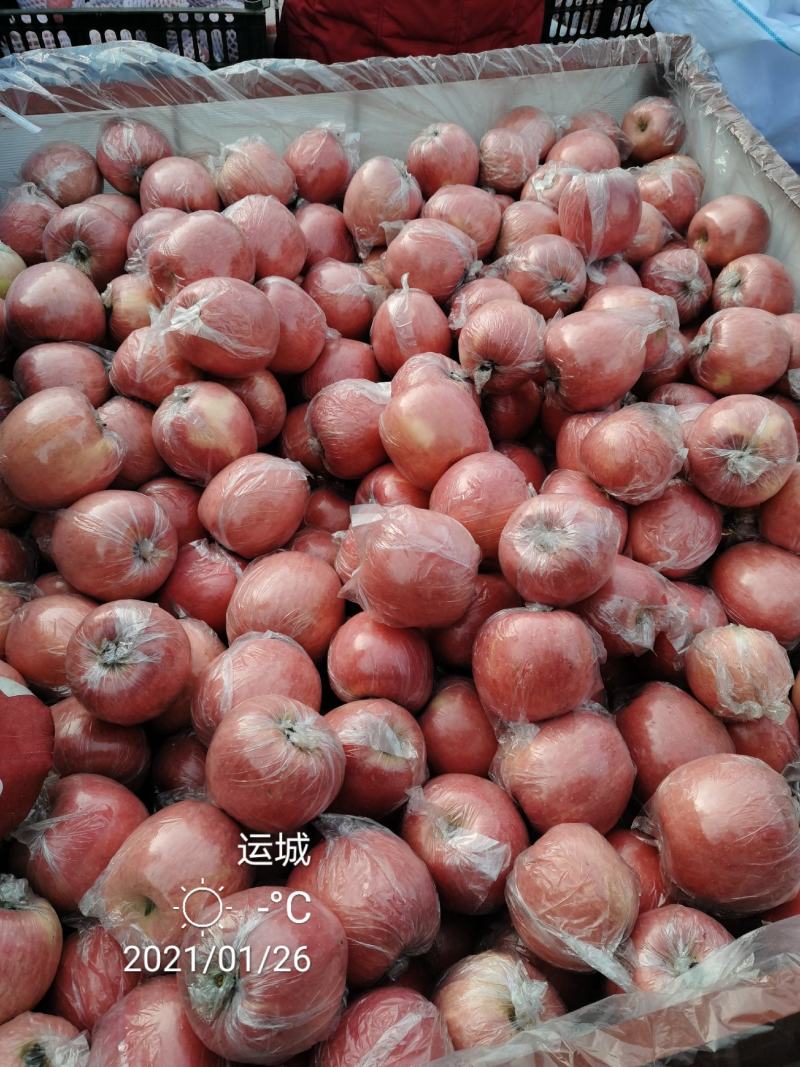 纸加膜红富士牛商荣誉六年老店条红片红临猗万荣坡冰糖心苹果电商