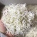 银鱼干海银鱼咸味一件12斤批发2斤包邮