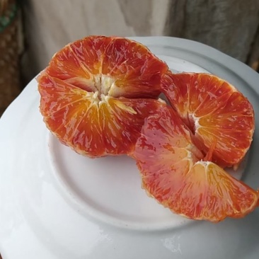 长寿湖血脐橙，果肉鲜红，香甜可口