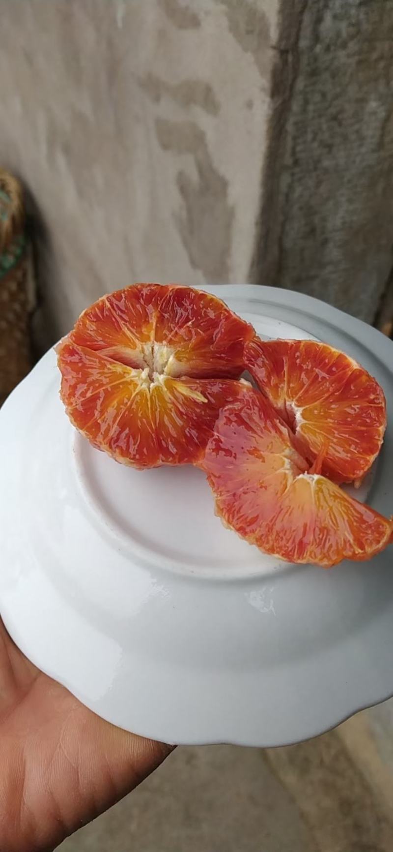 长寿湖血脐橙，果肉鲜红，香甜可口