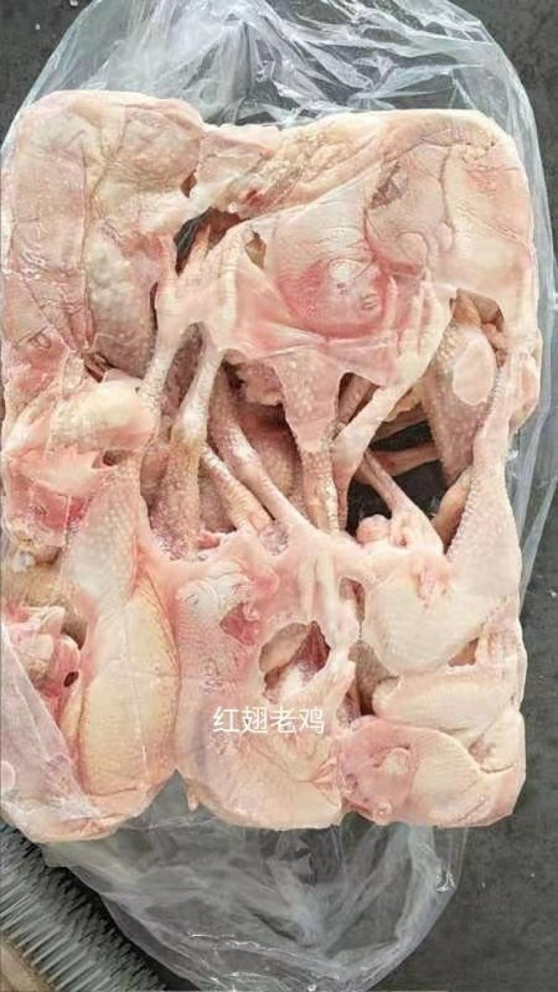 二级老母鸡一车，肉食鸡。白条鸡，三黄鸡，鸡副鸡分割冻鸡肉