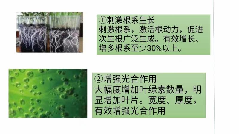 矿源黄腐酸钾全水溶易吸收抗重茬除盐碱