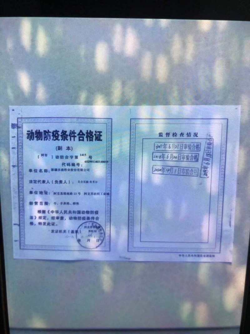 新疆羊肉当天屠宰酮体分割肉质鲜美当天可发
