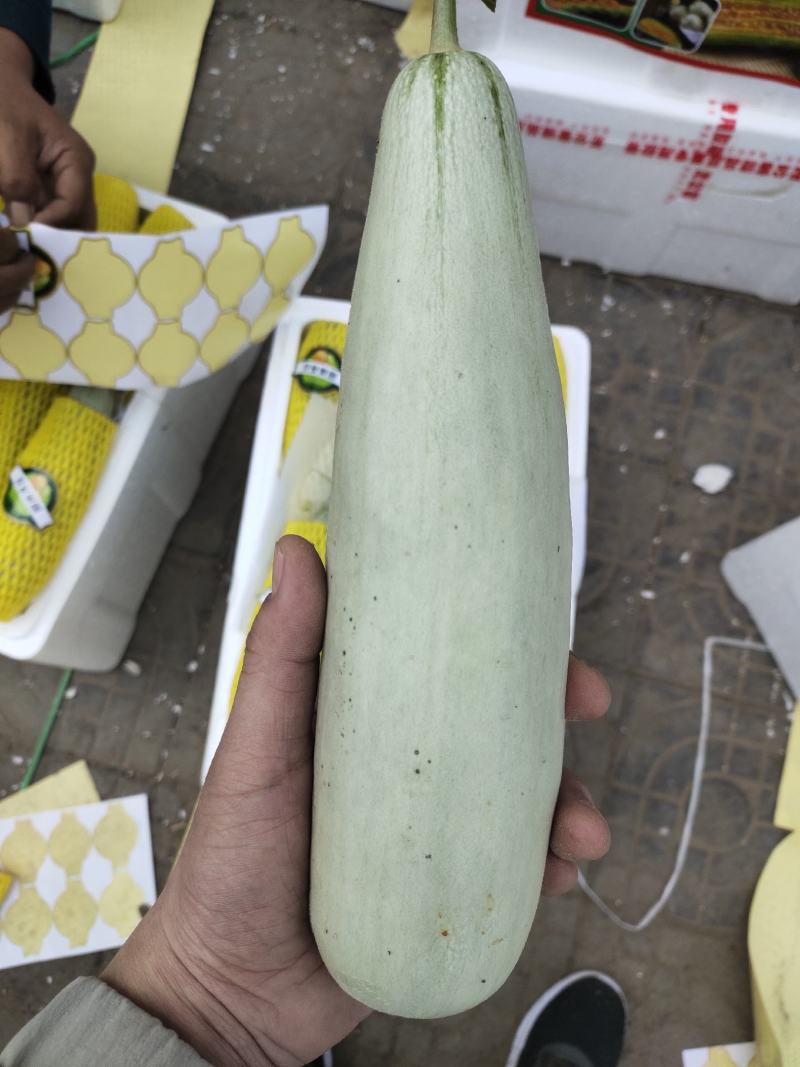 圣女果，千禧贝贝圆粉六号釜山88小柿子基地