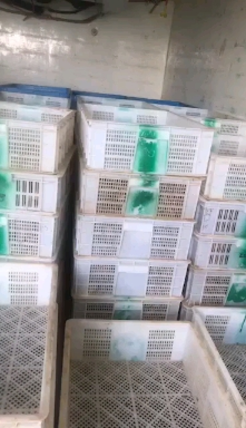 诚信为本，质量保障。欢迎订购。