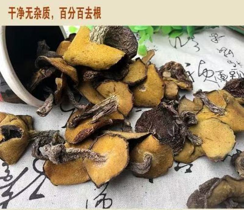 正宗蒙山松菇，俗称山蛾子，数量有限营养美味先到先得