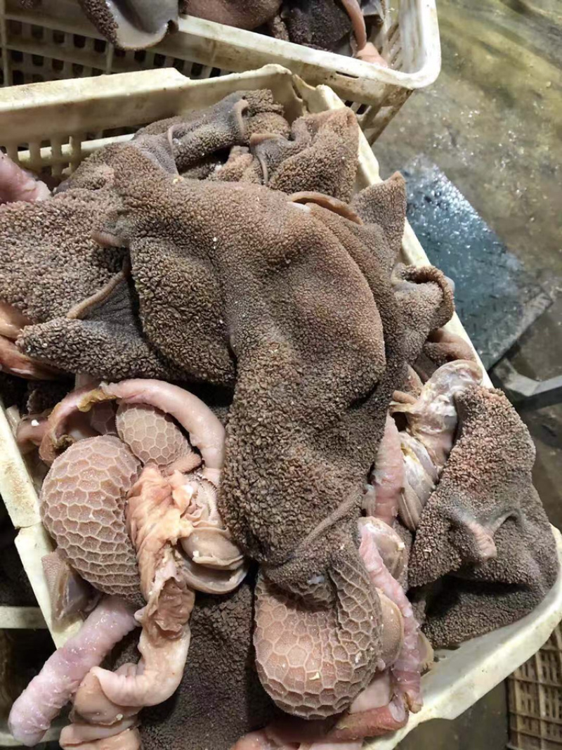 河北育肥羊黑毛肚，加工厂一手货源，品质优价格正，欢迎选购