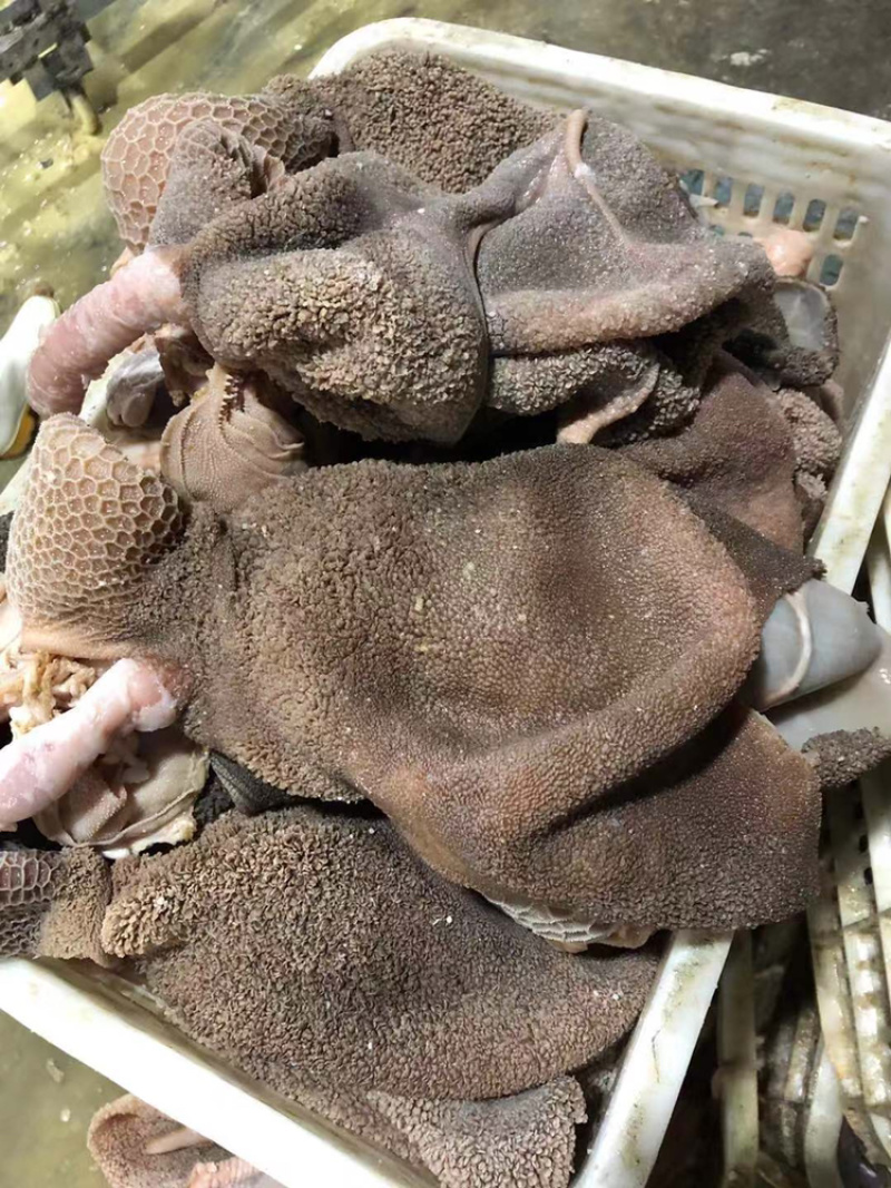 河北育肥羊黑毛肚，加工厂一手货源，品质优价格正，欢迎选购