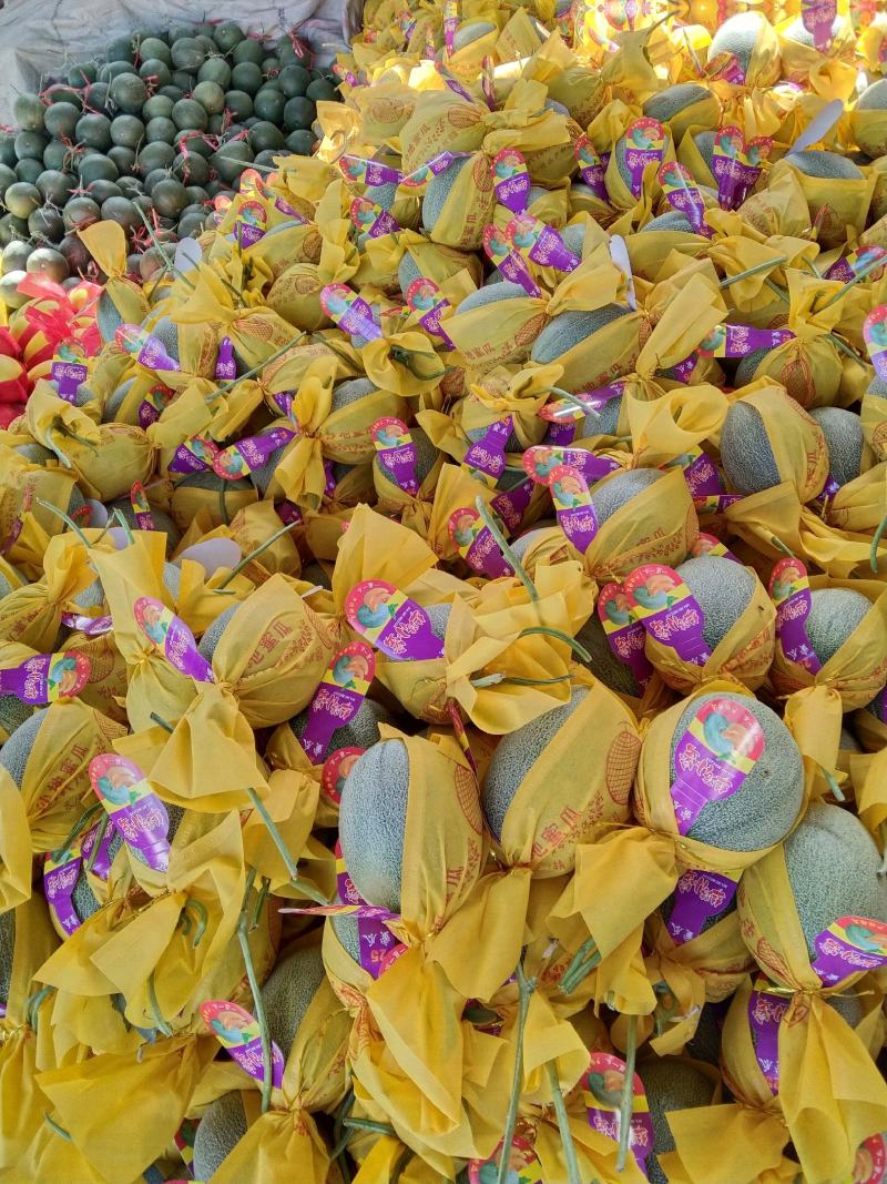 西州蜜，小蜜25,预售3月中旬