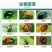 荣邦卸甲哒螨灵噻虫胺白菜叶黄条跳甲专用兼治蚜虫螨虫杀虫剂