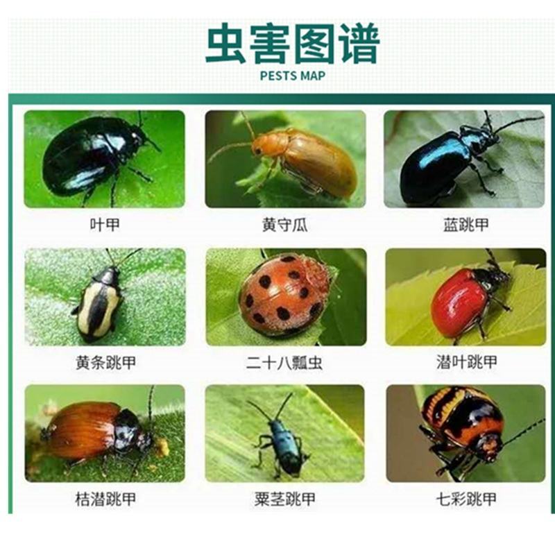 荣邦卸甲哒螨灵噻虫胺白菜叶黄条跳甲专用兼治蚜虫螨虫杀虫剂