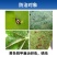 荣邦卸甲哒螨灵噻虫胺白菜叶黄条跳甲专用兼治蚜虫螨虫杀虫剂