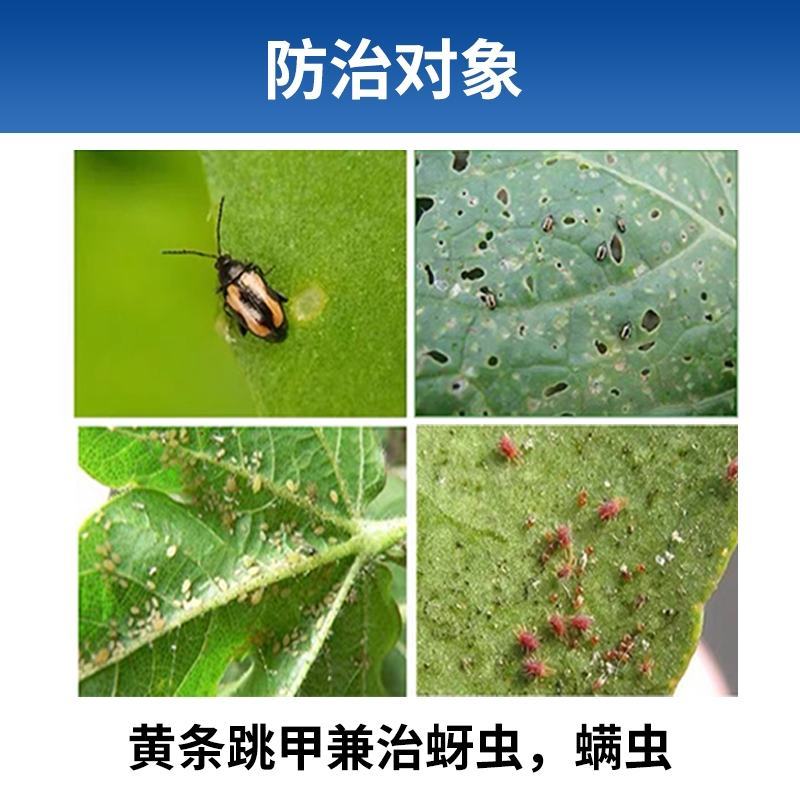 荣邦卸甲哒螨灵噻虫胺白菜叶黄条跳甲专用兼治蚜虫螨虫杀虫剂