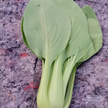 精品小青菜量大从优！