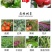 浓甜氟吡菌胺+精甲霜灵霜霉病蕃茄晚疫病通心菜白锈病杀菌剂