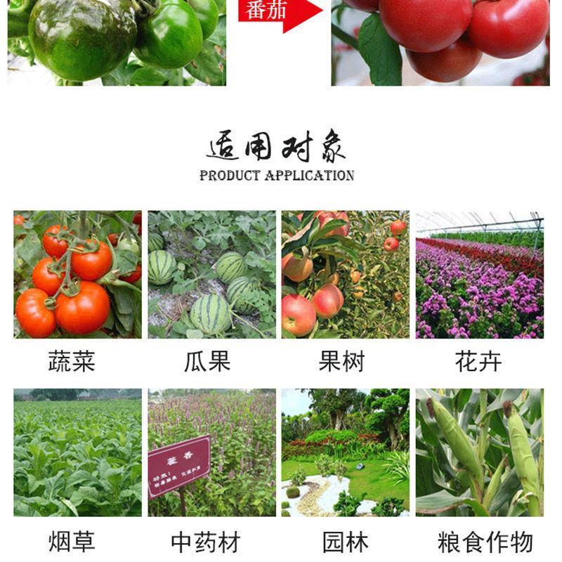 浓甜氟吡菌胺+精甲霜灵霜霉病蕃茄晚疫病通心菜白锈病杀菌剂