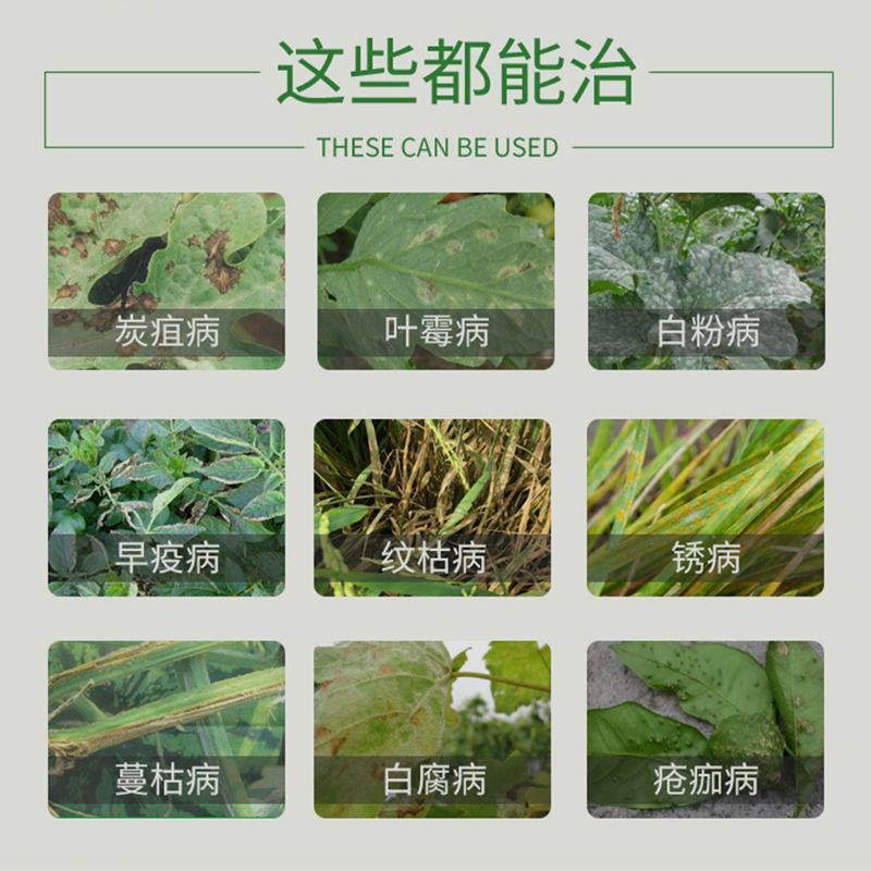 凯美来60%苯醚甲环唑凯美来杀菌剂梨树黑星病白粉病农药
