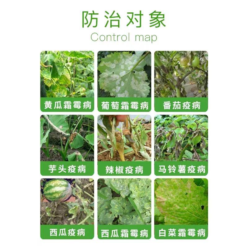 力卡烯酰.丙森锌白菜莴笋霜霉病马铃薯晚疫病保护治疗杀菌剂