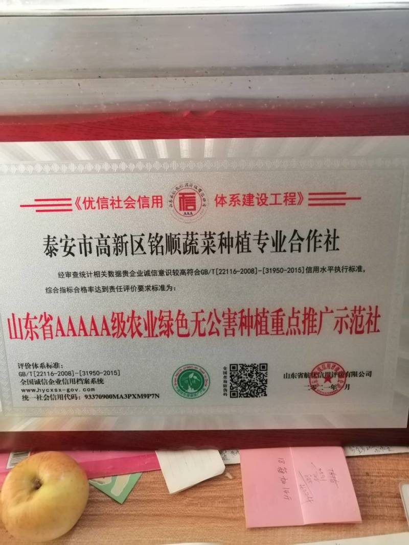 山东泰安，精品香芹，质量杠杠滴，一手货源，提供一条龙服务