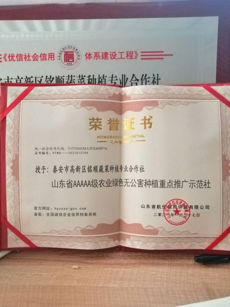 山东泰安，精品香芹，质量杠杠滴，一手货源，提供一条龙服务