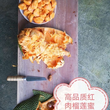 红肉榴莲蜜苗，4年左右挂果