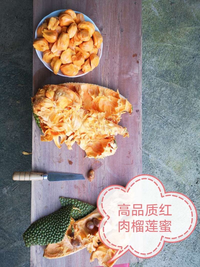 红肉榴莲蜜苗，4年左右挂果