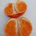 明日见柑橘枝条，品种优良，果型硕大，味道浓甜，鲜果赠送